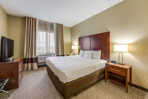 Comfort Suites Chicago O'Hare Airport - Habitación