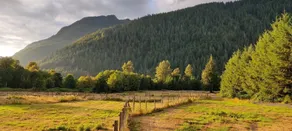 Elk Meadow - Exterior