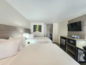 Days Inn by Wyndham San Marcos - Chambre