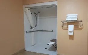 Quality Inn & Suites Mount Pleasant - Badezimmer