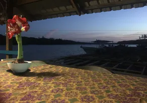 Bakau Hijau Riverlodge - Hostel - Restaurant