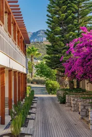 Kairos Valley Health & Nature Resort - View from room
