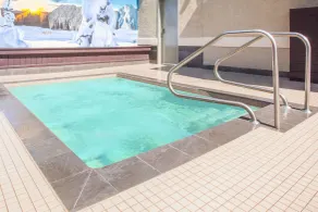 Fernie Fox Hotel - Piscine