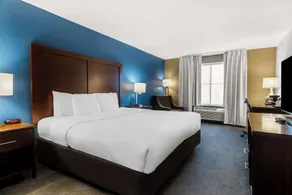 Comfort Inn & Suites near Tinley Park Amphitheater - Chambre