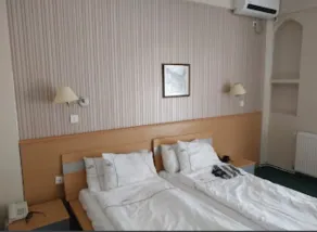 Hotel Bluebell - Room