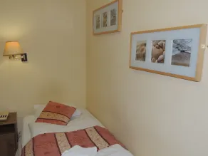 Dolphin Hotel - Room