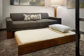 SpringHill Suites by Marriott Arlington TN - Værelse