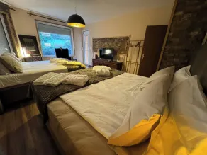 Villa Boyana City & Relax with Hot Jacuzzi and Sauna by BookVillaBG - Værelse