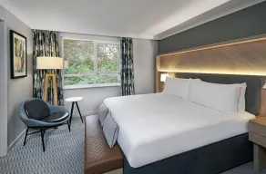 Hilton Cobham - Room