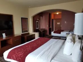 Comfort Suites McAllen Airport and La Plaza Mall - Chambre