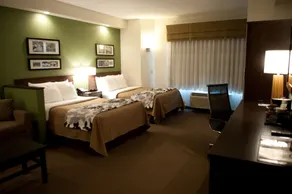 Sleep Inn & Suites Buffalo Airport - Chambre