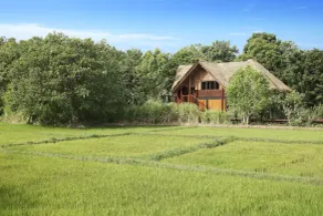 Jetwing Vil Uyana, A Luxury Reserve - Vue de la chambre