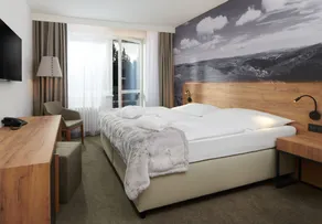 Wellness Hotel Svornost - Room