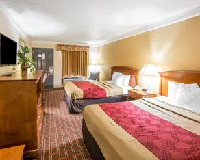 Econo Lodge Knoxville North - Room