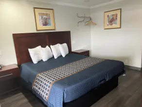 Golden Eagle Motel - Camera