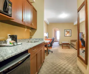 Comfort Inn & Suites - Chambre