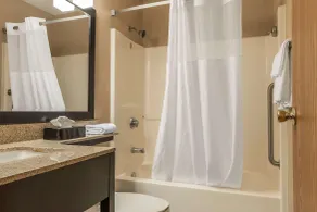Quality Inn & Suites Pittsburgh Harmarville - Salle de bain