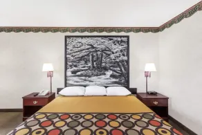 Super 8 by Wyndham Erwin, I-26 Exit 37 - Chambre