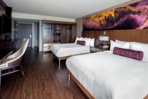 Baton Rouge Marriott - Vue de la chambre