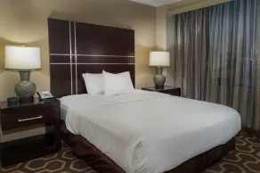 Embassy Suites by Hilton St. Louis Airport - Chambre
