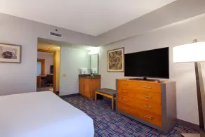 Embassy Suites by Hilton Chicago O'Hare Rosemont - Rum