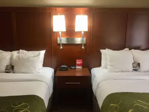 Comfort Suites Regency Park - Chambre