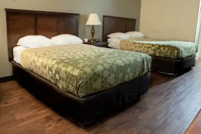 Econo Lodge Hopewell Near Fort Lee I-295 - Chambre