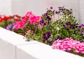 Epavli Boutique Hotel - Ausblick vom Zimmer