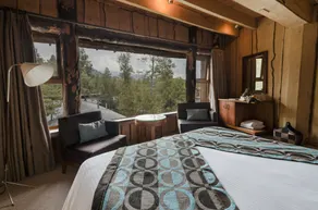 Huilo Huilo Nothofagus Hotel & Spa - View from room
