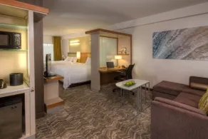 SpringHill Suites Anchorage University Lake - Rom