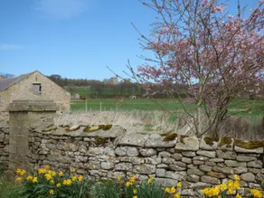Hope Cottage - Interior
