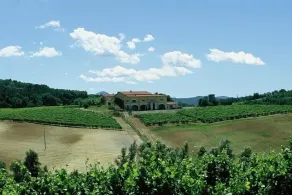 La Meirana - Vingård