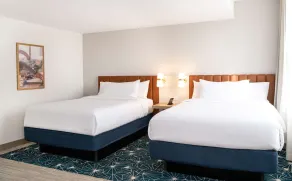 Hilton Garden Inn Flint Downtown - Chambre