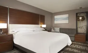 Hilton Tampa Airport Westshore - Chambre