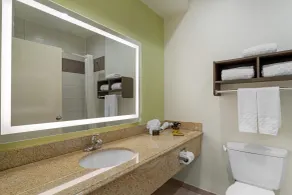 Best Western Plus North Houston Inn & Suites - Salle de bain