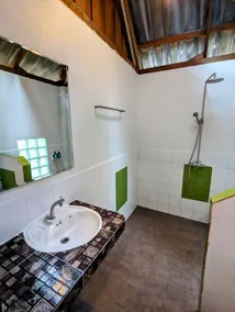 Ziggy Stardust - Salle de bain