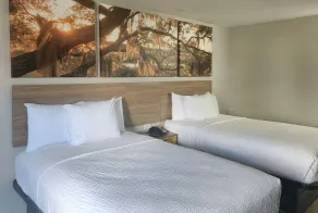 Days Inn by Wyndham Lafayette Scott - Chambre