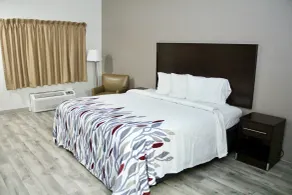 Red Roof Inn & Suites Lake Orion / Auburn Hills - Chambre
