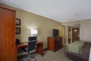 Comfort Inn University Area - Chambre