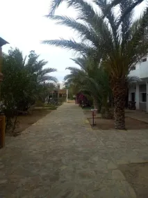 Jowhara Hotel - Vista dalla camera