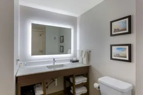 Comfort Inn Jonesboro Central - Salle de bain