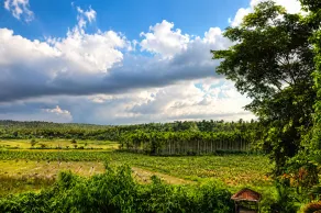 Enteveedu Homestay - Vistas desde la habitación