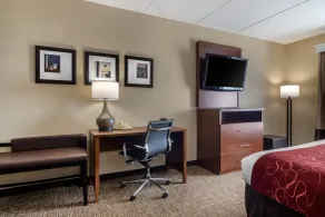 Comfort Suites Woodstock - Atlanta North - Chambre