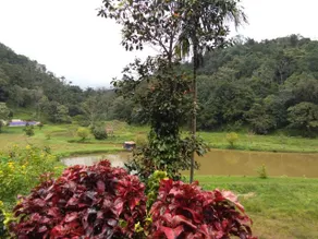 Three Hills Resort & Spa, Coorg - Room