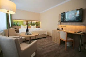 Hotel Harzresidenz - Room