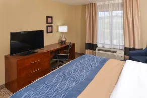 Comfort Inn & Suites Mandan - Bismarck - Chambre