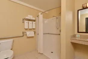 Comfort Inn & Suites Las Vegas - Nellis - Salle de bain