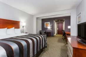 Wingate by Wyndham Chesapeake - Chambre