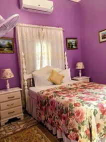 Pink Hibiscus Villa - Room