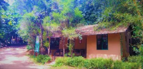 Vythiri Greens Resort - Reception